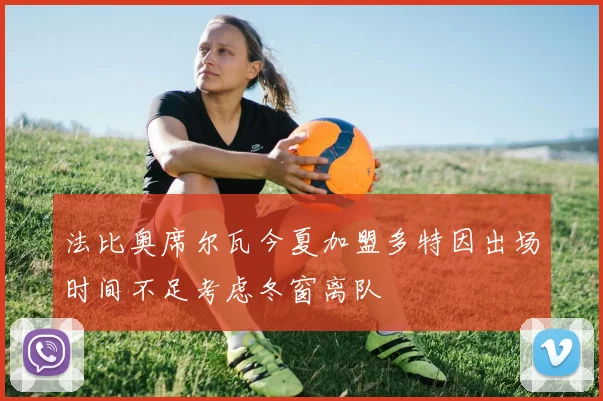 法比奥席尔瓦今夏加盟多特因出场时间不足考虑冬窗离队