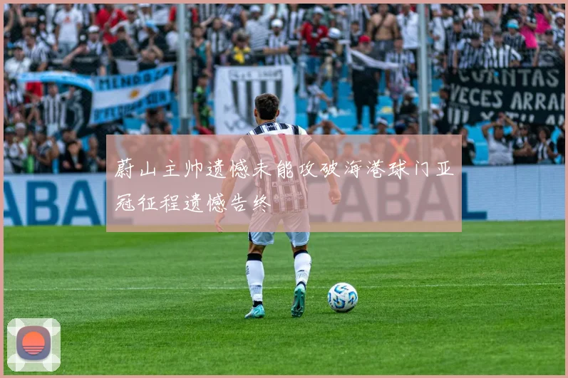 蔚山主帅遗憾未能攻破海港球门亚冠征程遗憾告终